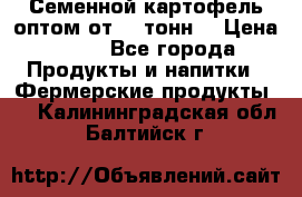 Семенной картофель оптом от 10 тонн  › Цена ­ 11 - Все города Продукты и напитки » Фермерские продукты   . Калининградская обл.,Балтийск г.